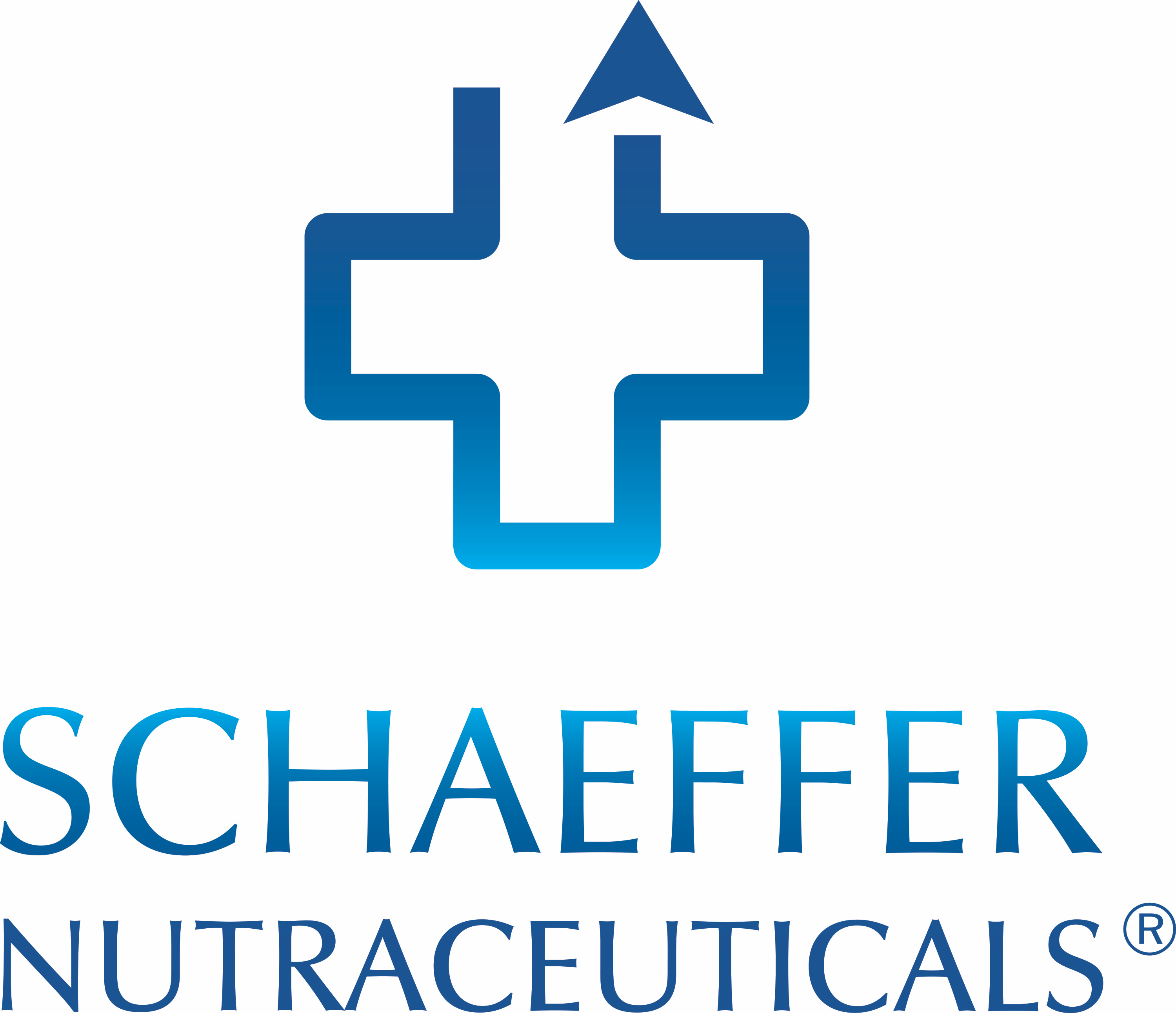 Schaeffer logo pion