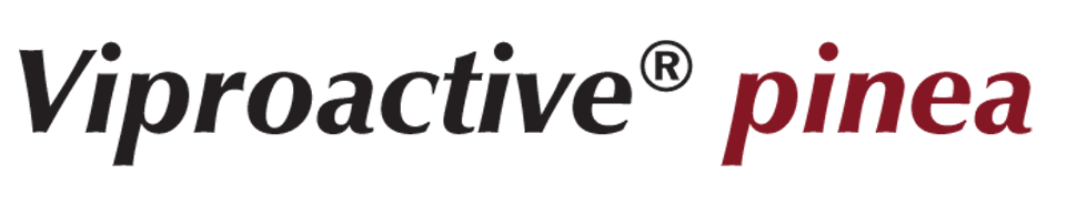 Überschrift-pinea 2