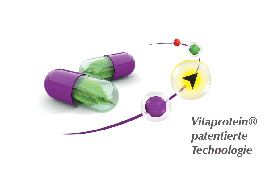 Vitaprotein web purple Vitaprotein Navimeso